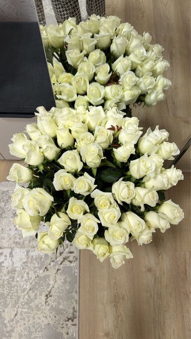 Продаются цветы тюльпаны Роза