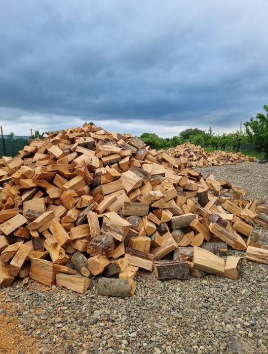 Lemne de foc fag capete uscate sau verzi 600.lei tona