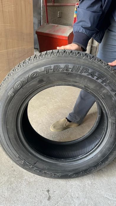 Шины разнабой