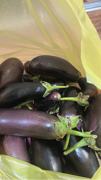 Продам баклажаны