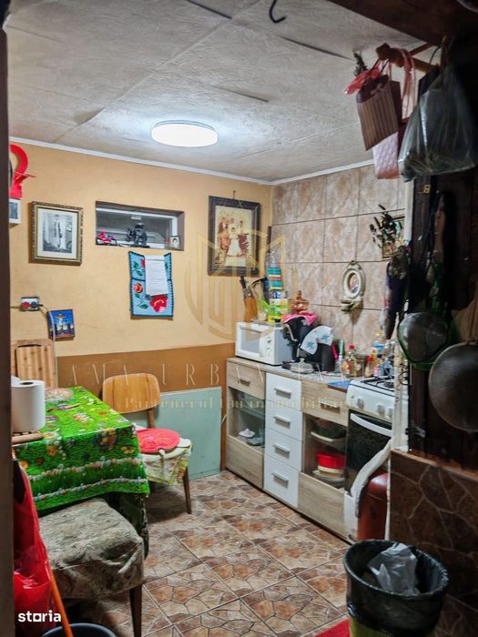 Casă individuală Brâncoveanu Alunișului