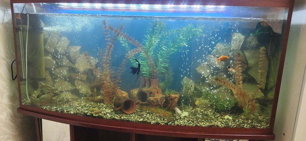 Аквариум сотилади