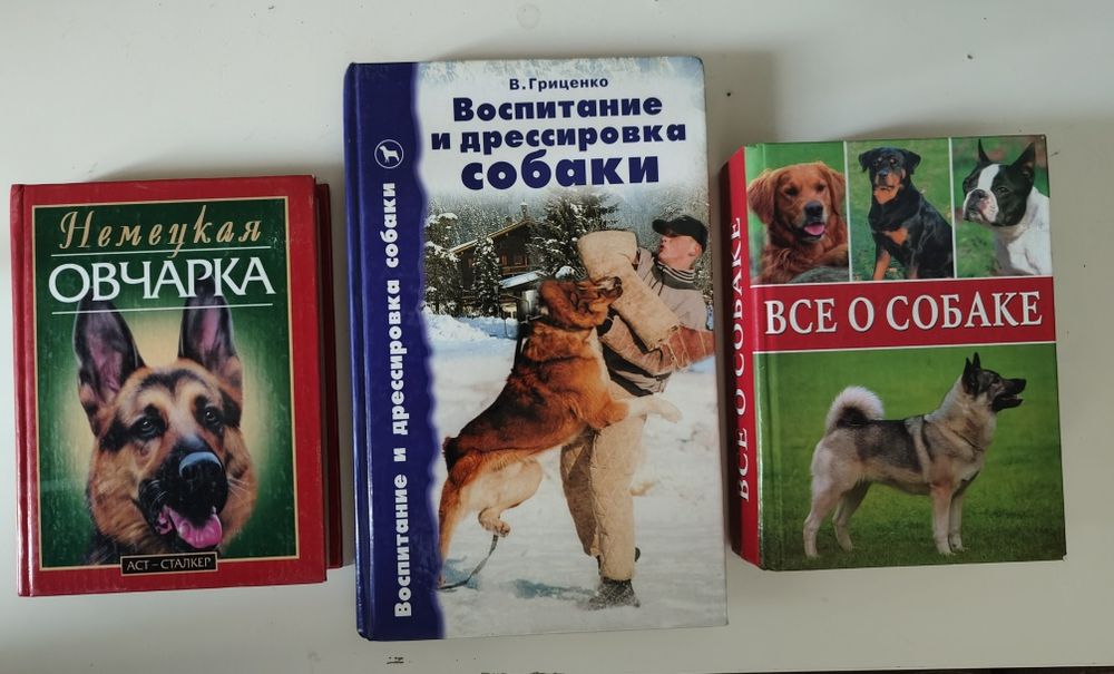 Воспитание и дрессировка собаки