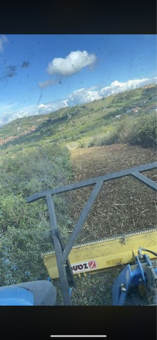 Tocatoare forestiera zanon