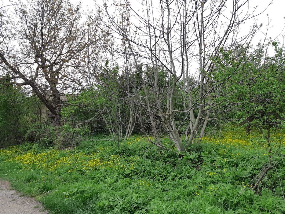 Продавам къща с парцел
с. Звезда, Търговище