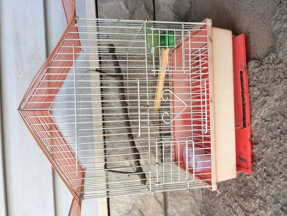 Клетка для певчих птиц или для попугаев