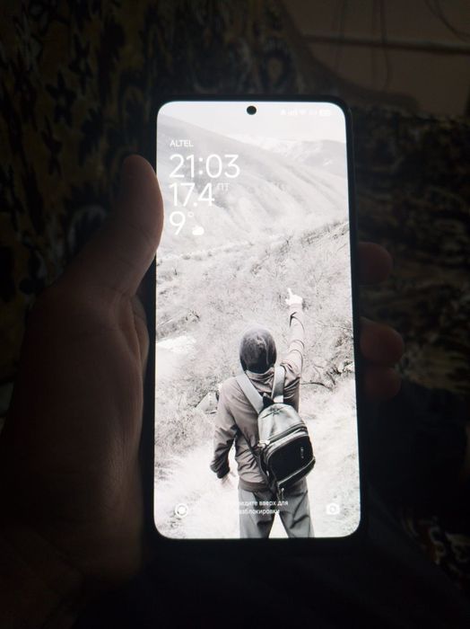 Пока х 5 5G 256гб/12