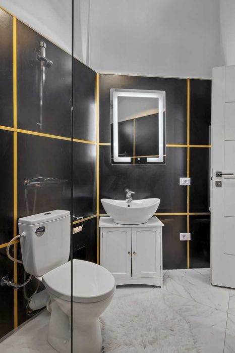 Str Covaci, centrul istoric, centrul vechi, Proprietar