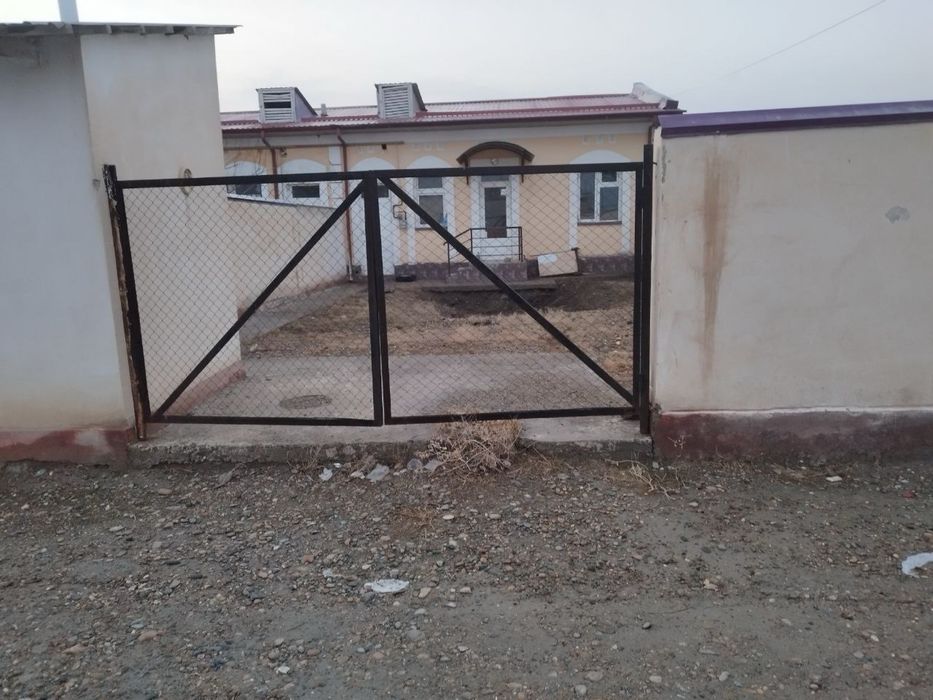 Kotej sotiladi srochno!