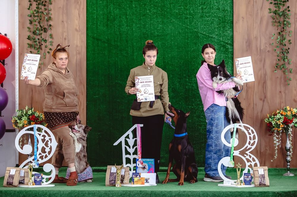 Дрессировка собак/ Кинолог