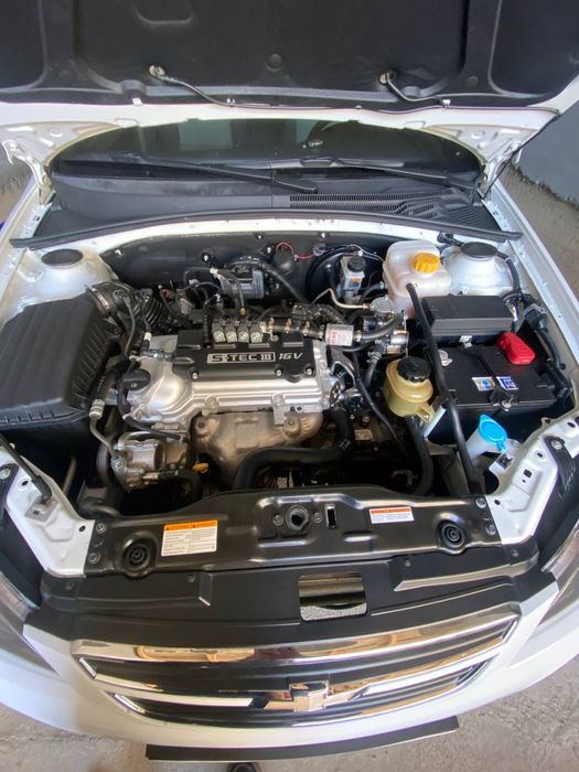 Жентра автомат 2022