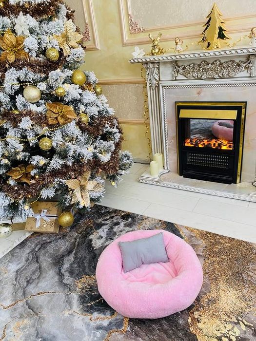 Легла за домашни любимци