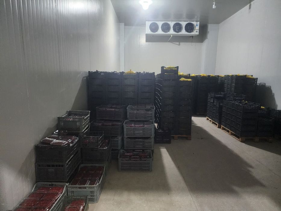 Холодильные камеры на 800 тонн