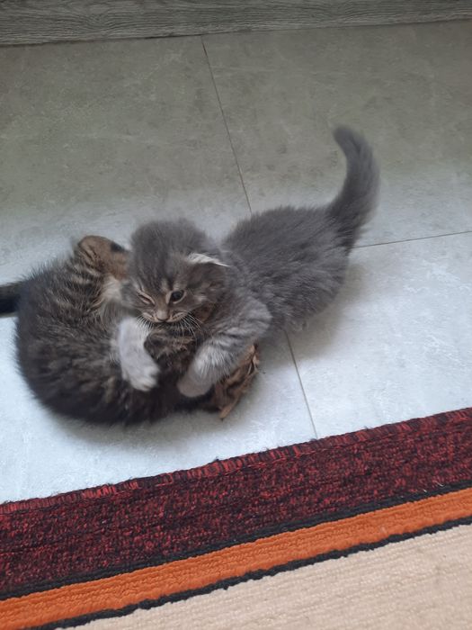 Красивое стены зделоем