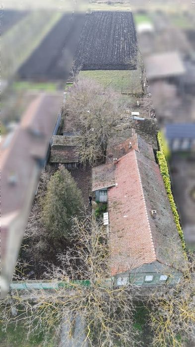 Casa de vânzare cu teren generos  in Dorobanti