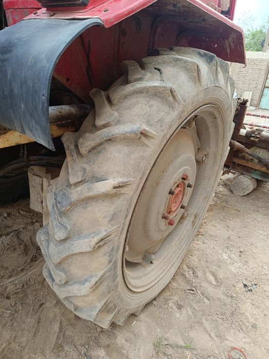 Shina t16 patpat