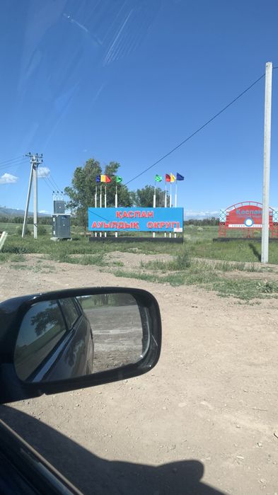 Қымыз таза еш қоспасыз