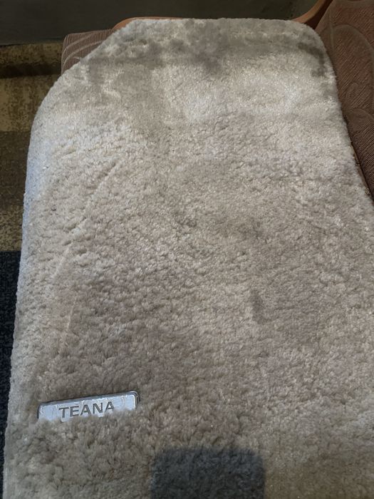 Полик для Теана машины