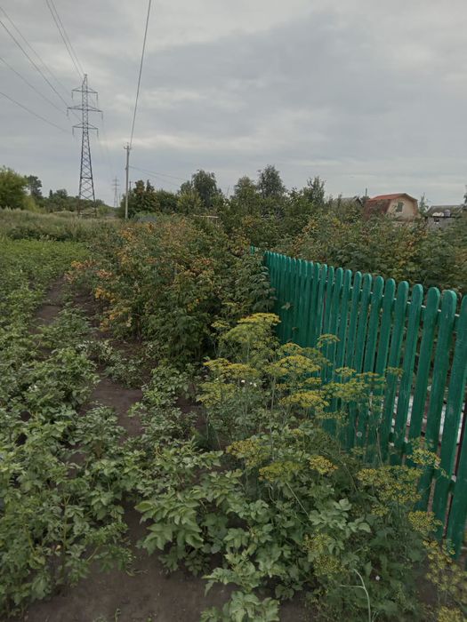 Дача 5 соток с домом, общество Ромашка