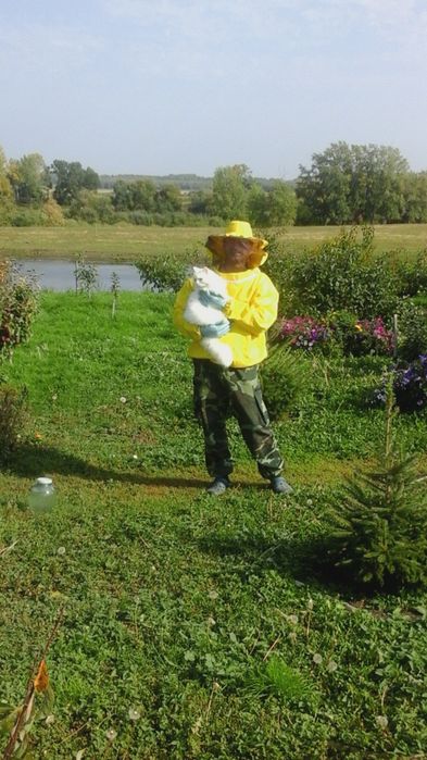 Продам мед разнотравие.