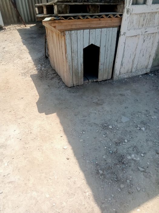 Сандық  3 Айна Итке Уйшык Екы Велик
