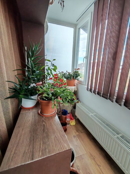 Vand apartament 3 camere  zona Soarelui Timisoara 120.000€