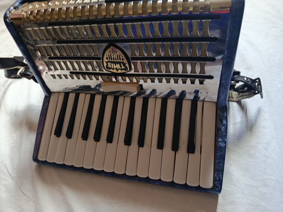 Acordeon Select Timis