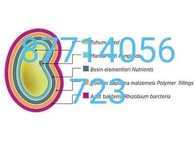 Семена Люцерна Жоңышқа Беде Клевер GEA