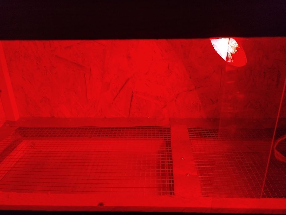 Брудер для  цыплят( 100-120)