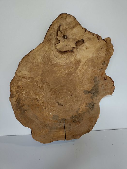 Felii/rondele din lemn de arin