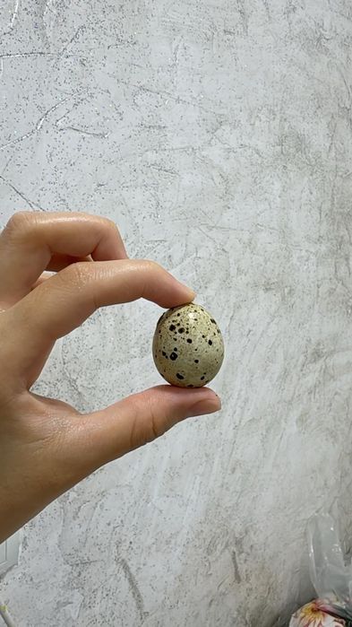 Инкубационные яица