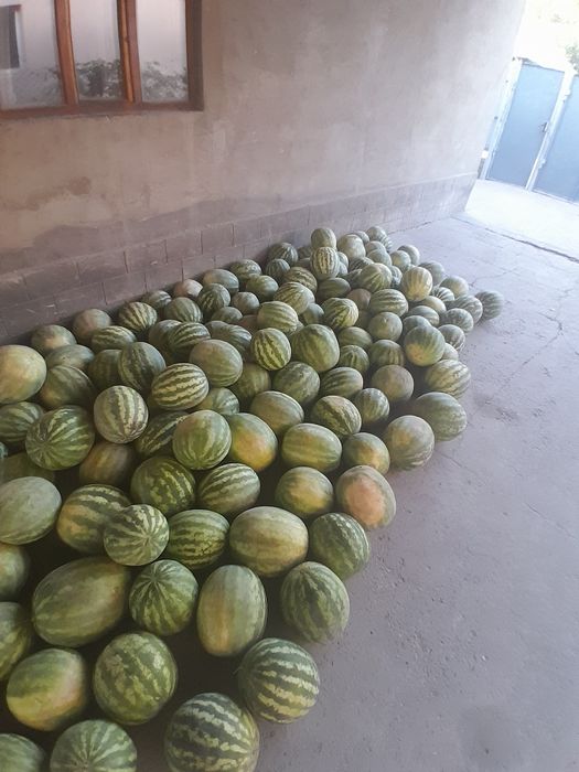 Арбуз за 23к прод