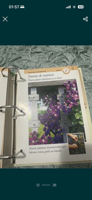 Gradinarit in orice anotimp
