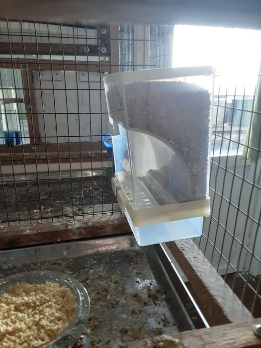 Автокормушки для птиц