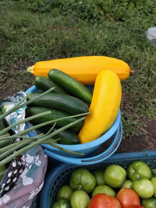 Продам дачу в хорошем месте