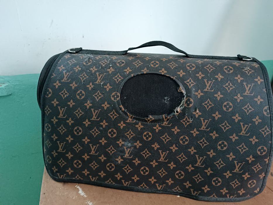 Mushuk 1yoshdan kotta