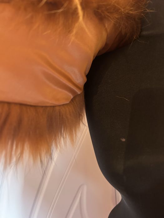 Яка лисица богата