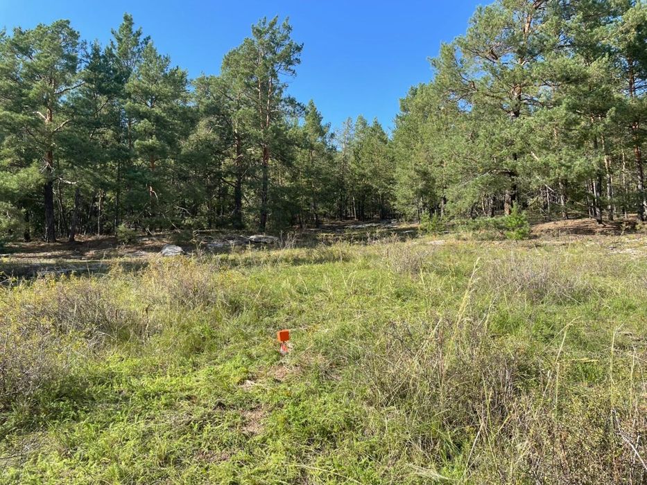 Участки на Голубом Заливе