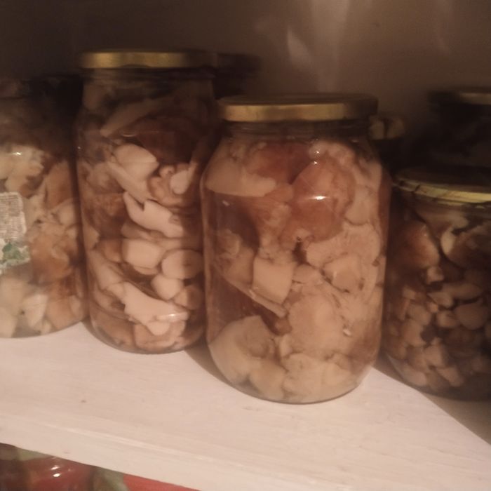 Продам грибочки этого года