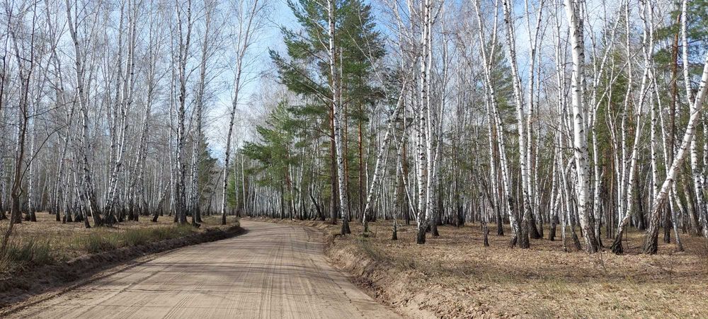 Продам участок земли