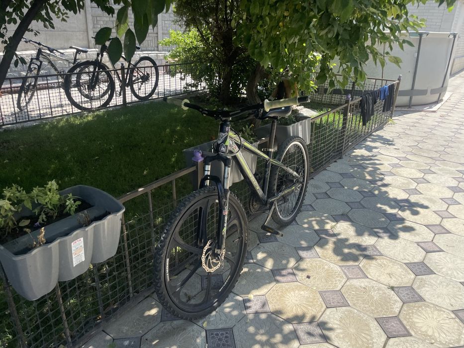Велик PULSE 24 колеса