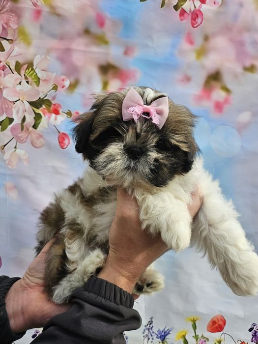 Отличный лайфхак  для сплочение семьи