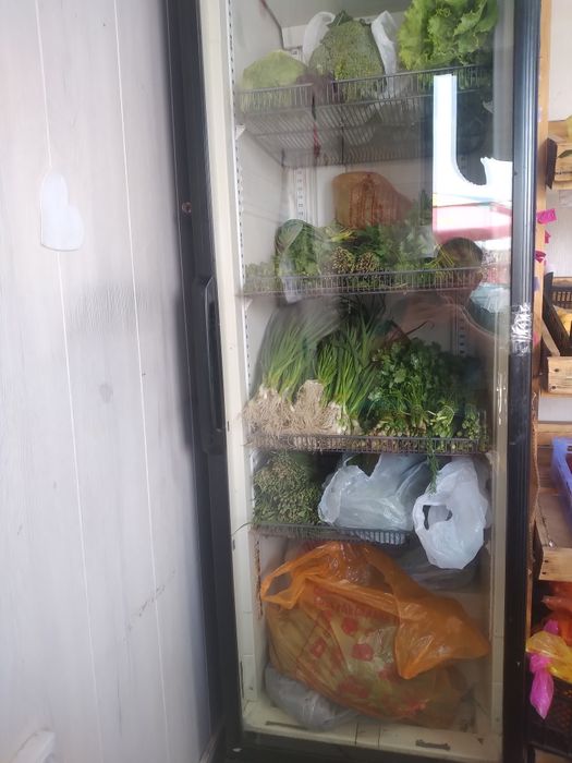 Продам 4 полки для овощей.