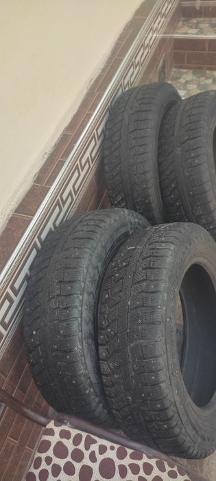 Щина зимние сотилади