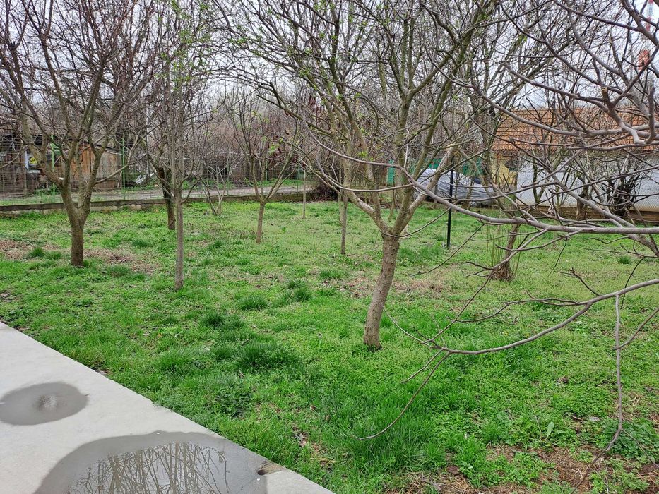 Продава се Промишлена сграда в Плевен, Дружба 3 - 167 кв.м за 809 €/кв.м - Снимка #15