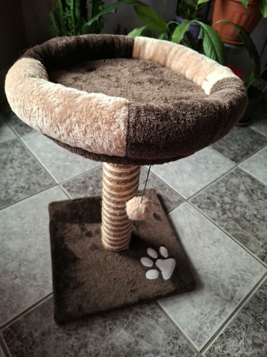 Котешки драскалки