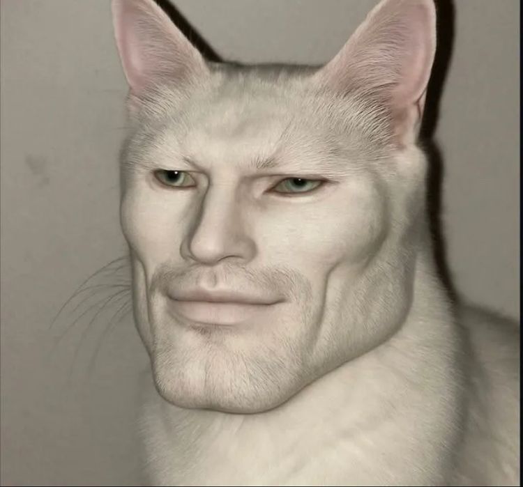 Кошка породистая