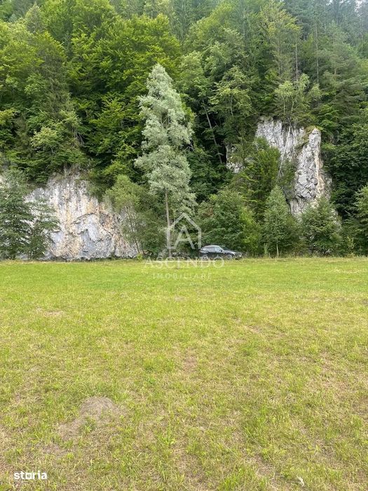 Teren Investiție Turistică Dâmbovicioara Baranga | 4.500 mp