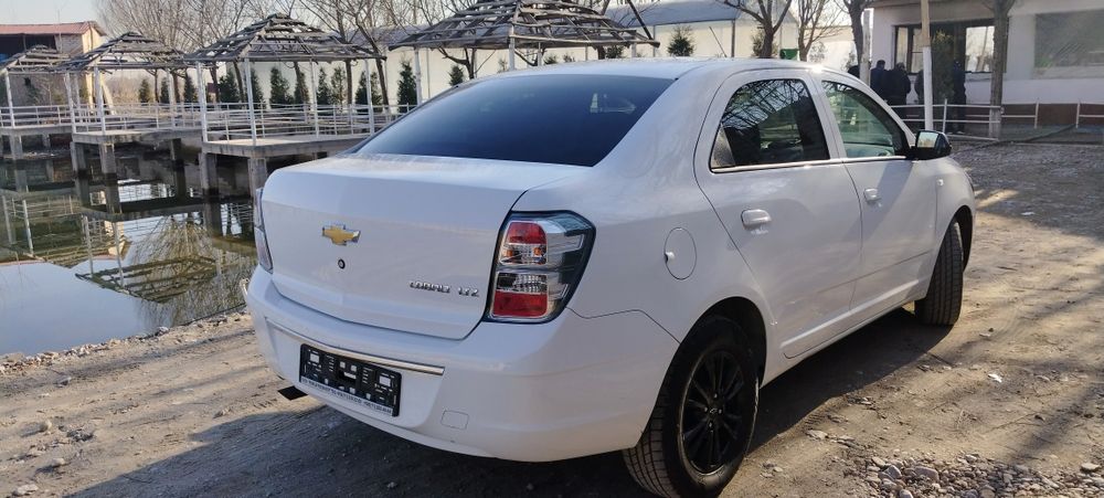 Cobalt Midnight 2025