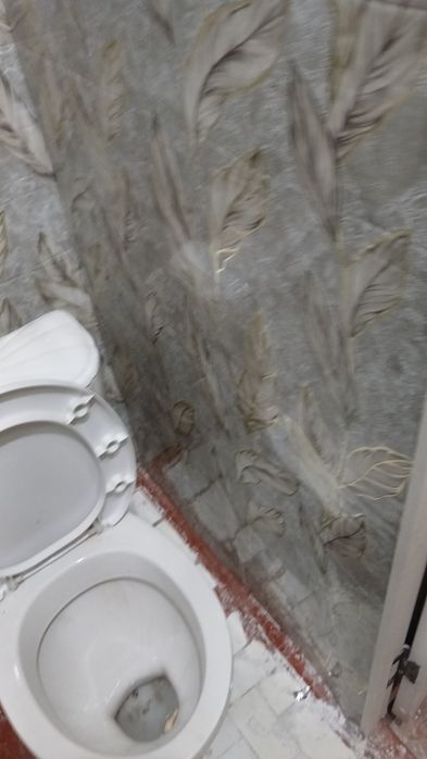 Еврореморт все виды